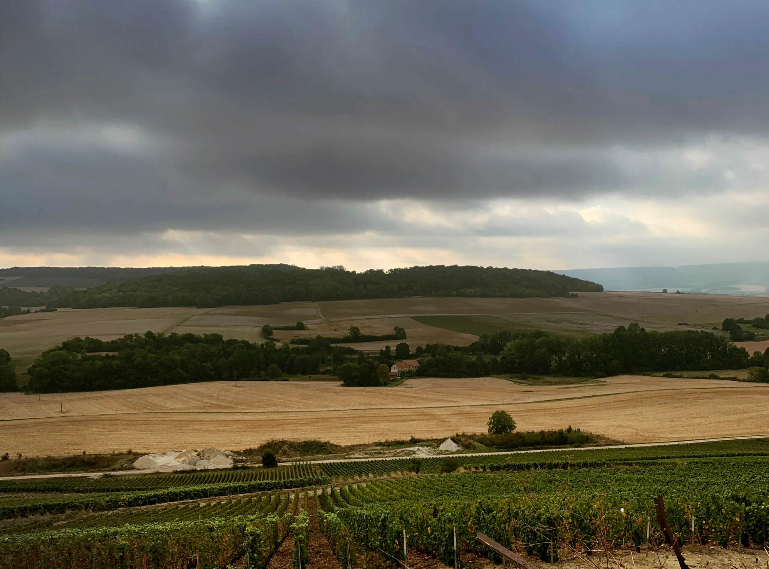 Coteau de vignes et champs de la Vallée de la Marne sous un ciel couvert