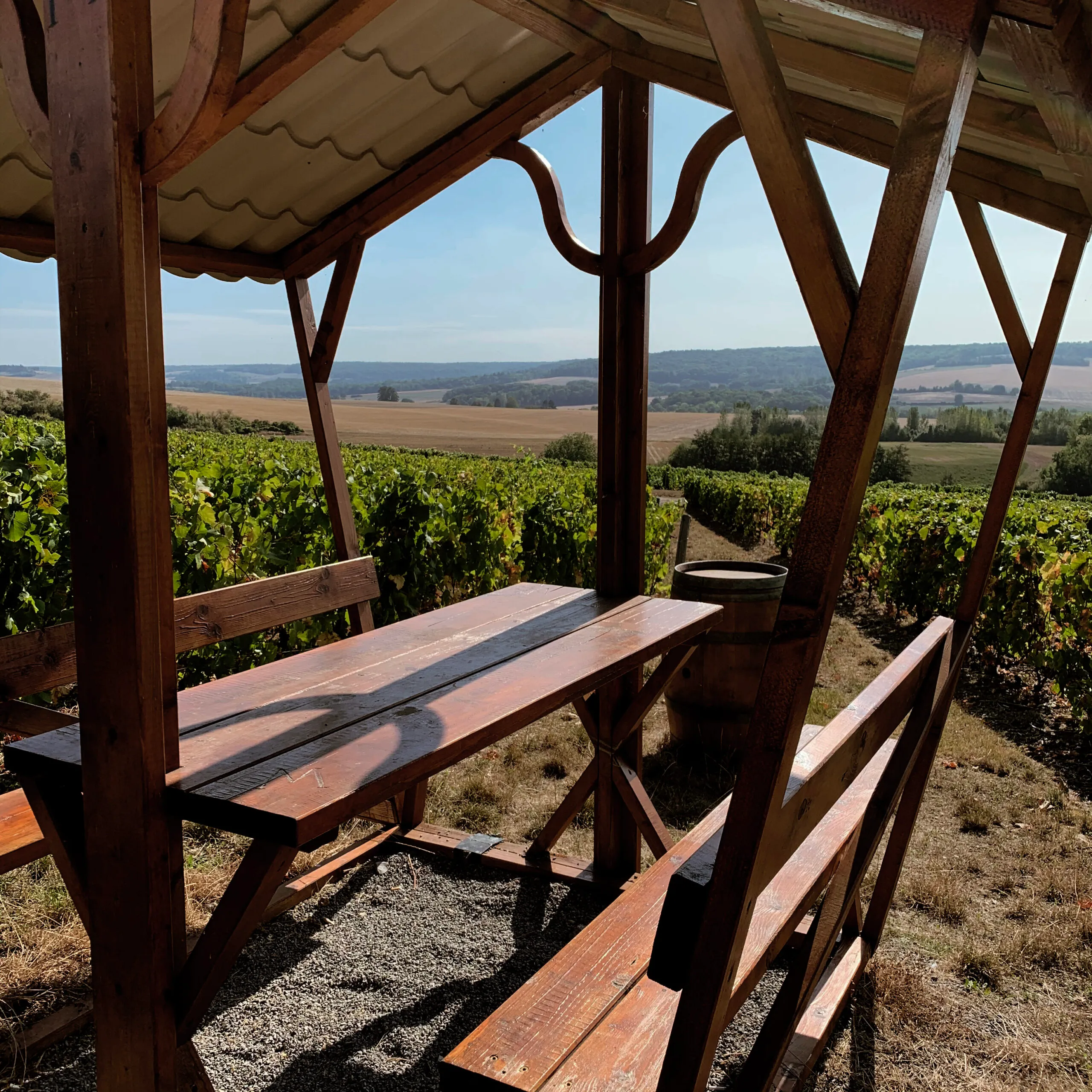 Table et bancs en bois sous un kiosque couvert, au milieu des rangs de vigne