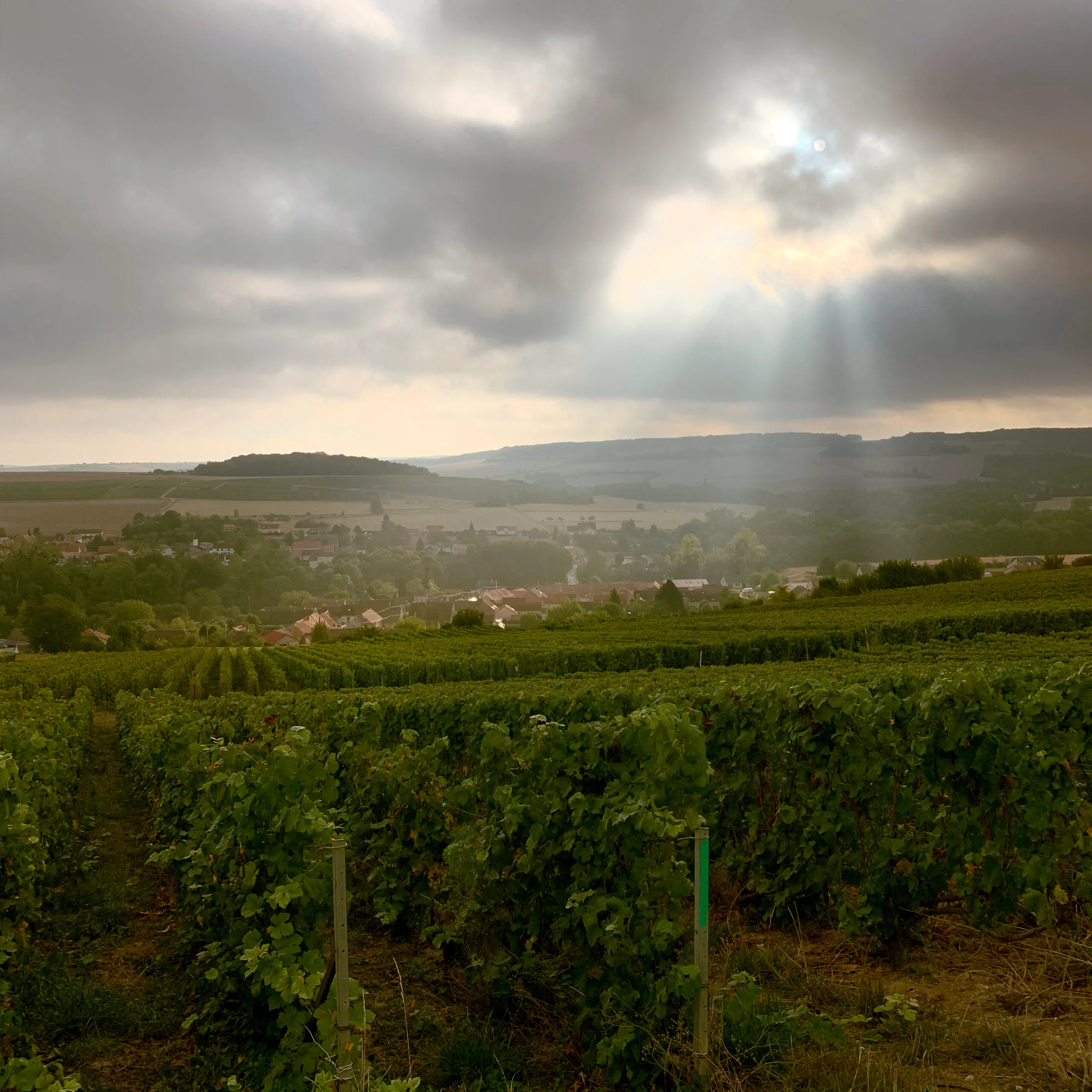 Vignes au-dessus du village de Passy-Grigny sous un ciel d’orage percé de rayons de soleil